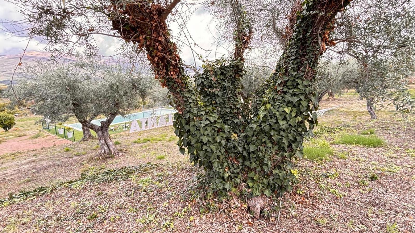 Casa Rural Atalanta De La Vera Jaraiz de la Vera Esterno foto